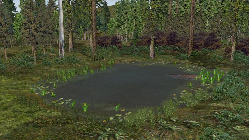 Attached Image: forest pond.jpg
